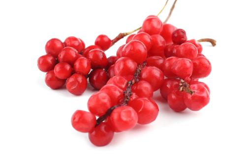 CH  ⹰
 CH Organic Schisandra Chinensis Fruit Extract