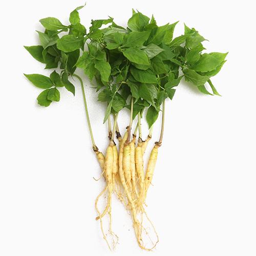 CH õ λ⹰
 CH Natural Panax Ginseng Extract