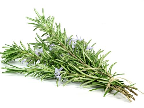 CH õ ټ
 CH Oragnic Rosemary Leaf Water