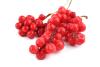 CH  ⹰
 CH Organic Schisandra Chinensis Fruit Extract