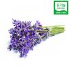  󺥴 - 
 Organic Lavandula Angustifolia (Lavender)