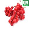   - 
 Organic Schisandra Chinensis Fruit