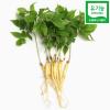  λ
 Organic Panax Ginseng