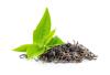 CH 유기농 녹차잎추출물 CH Organic Camellia Sinensis Leaf Extract